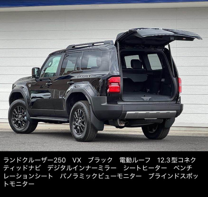 Toyota Landcruiser Prado 250 Black 2024/2025